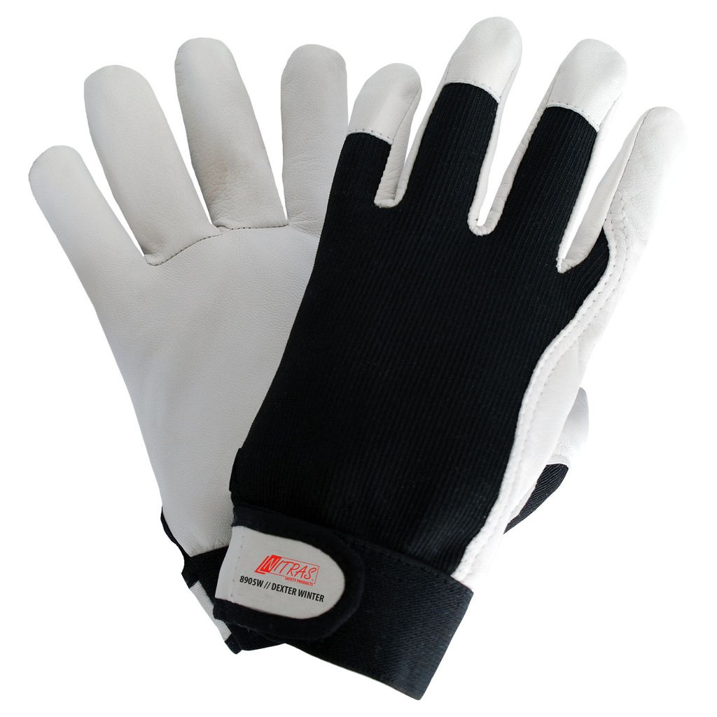 NITRAS DEXTER WINTER Winterhandschuhe | 8905W